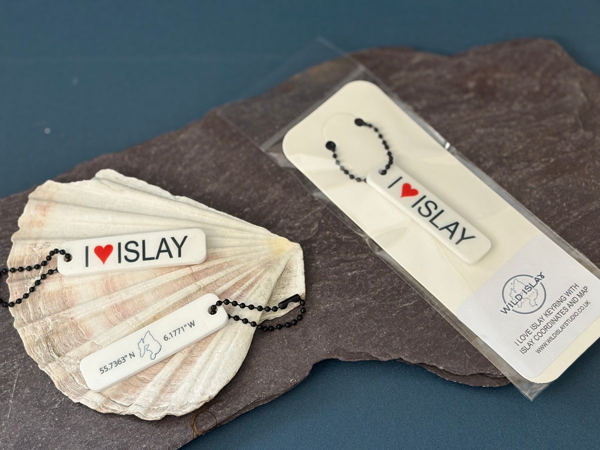 I Love Islay sublimated keyring with Islay map and coordinates